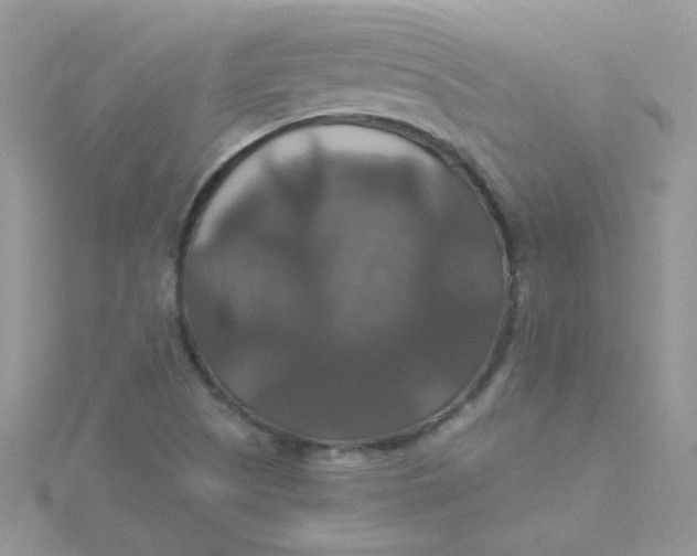 X0000115321505200911231340