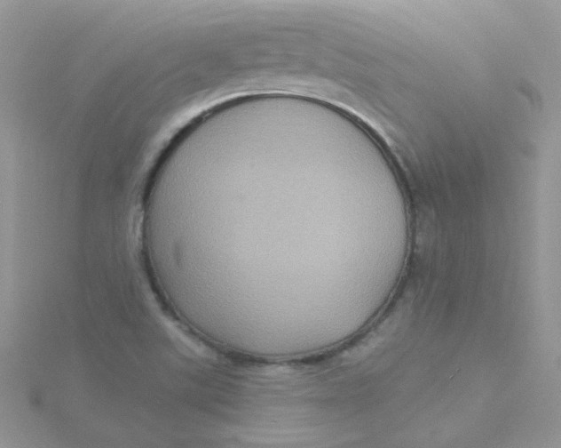 X0000115321507200911231340