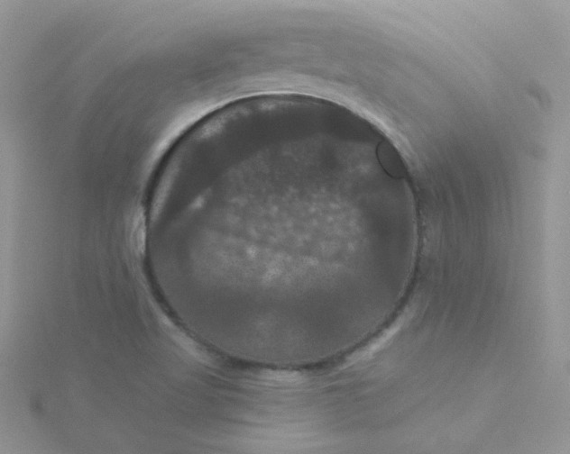 X0000115321509200911231340