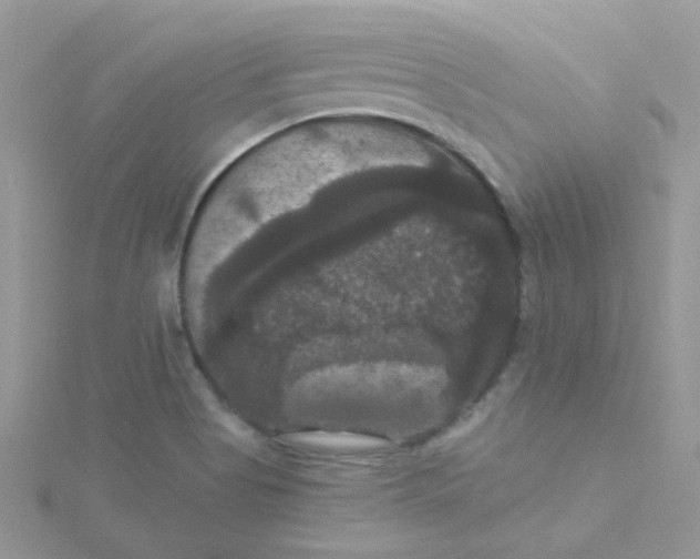 X0000115321513200911231340