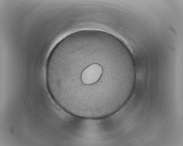 X0000115321514200911231340