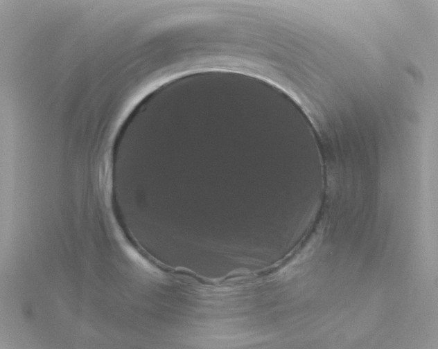 X0000115321515200911231340