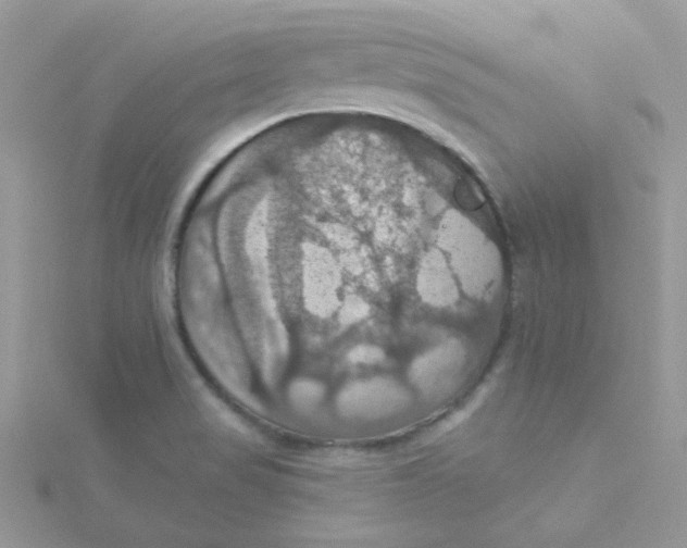 X0000115321517200911231340