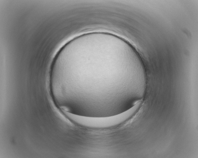 X0000115321518200911231340