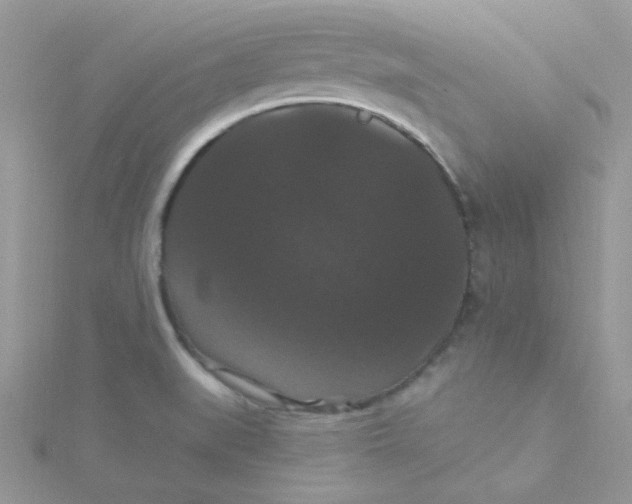 X0000115321519200911231340