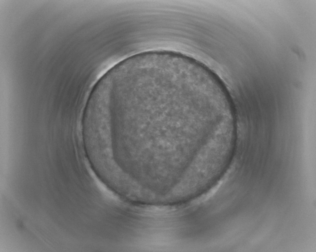 X0000115321521200911231340