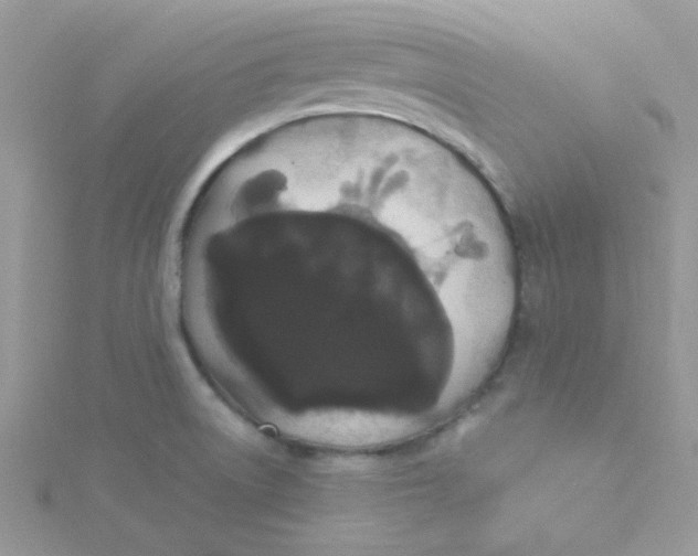 X0000115321522200911231340