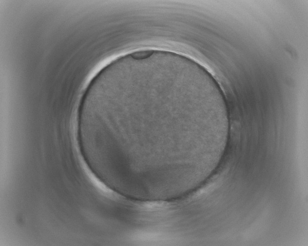 X0000115321523200911231340