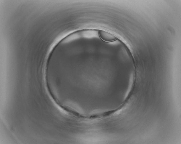 X0000115321525200911231340