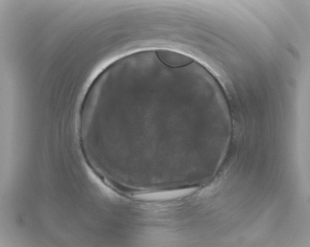 X0000115321527200911231340