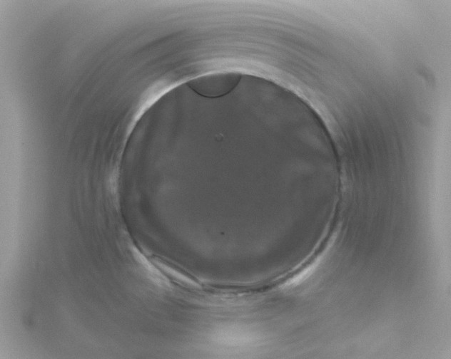 X0000115321529200911231340