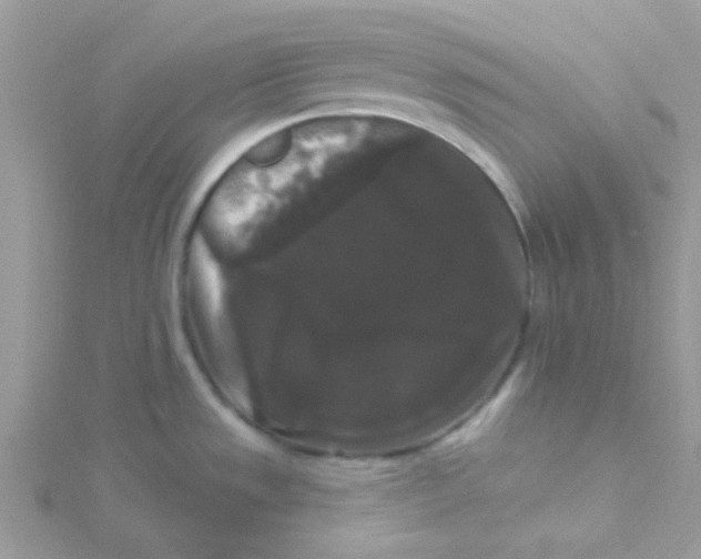 X0000115321533200911231340