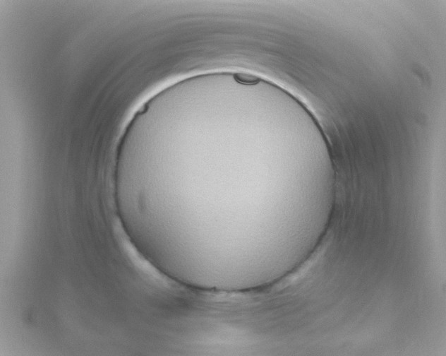 X0000115321534200911231340