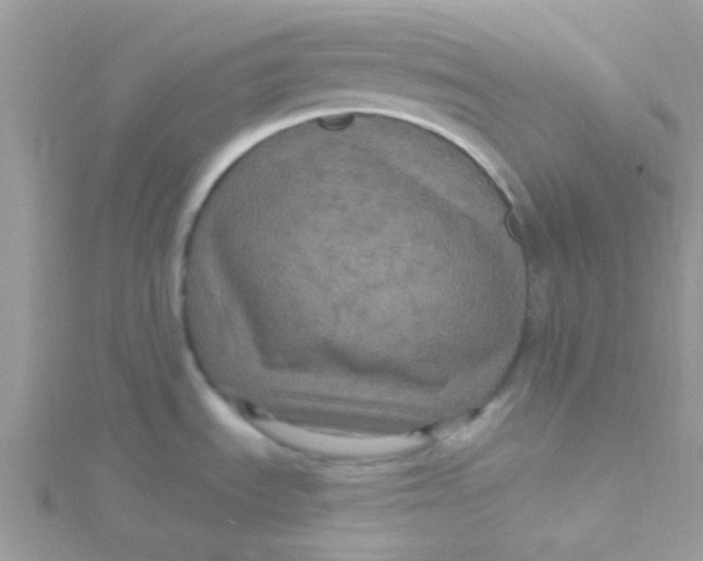 X0000115321535200911231340