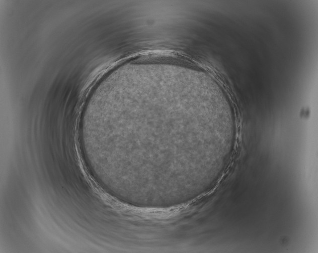 X0000115320001200911301609