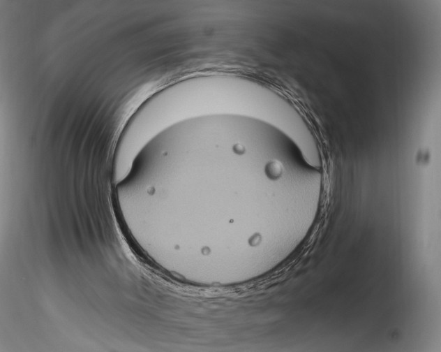 X0000115320003200911301609