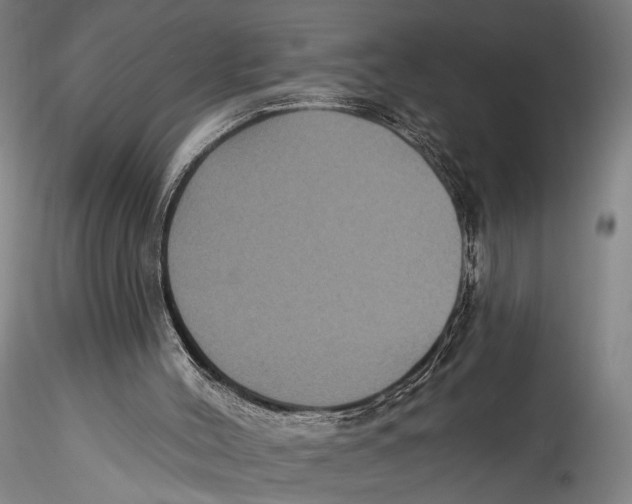 X0000115320004200911301609