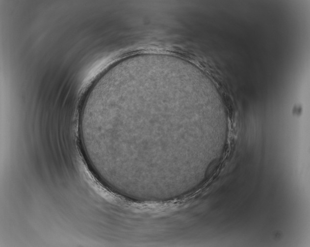 X0000115320005200911301609