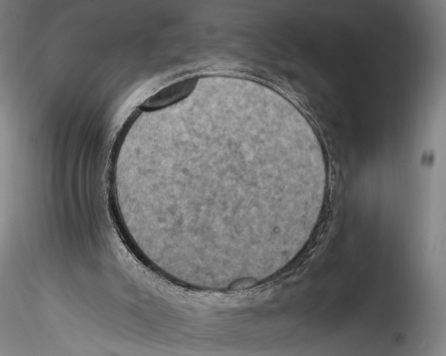 X0000115320007200911301609