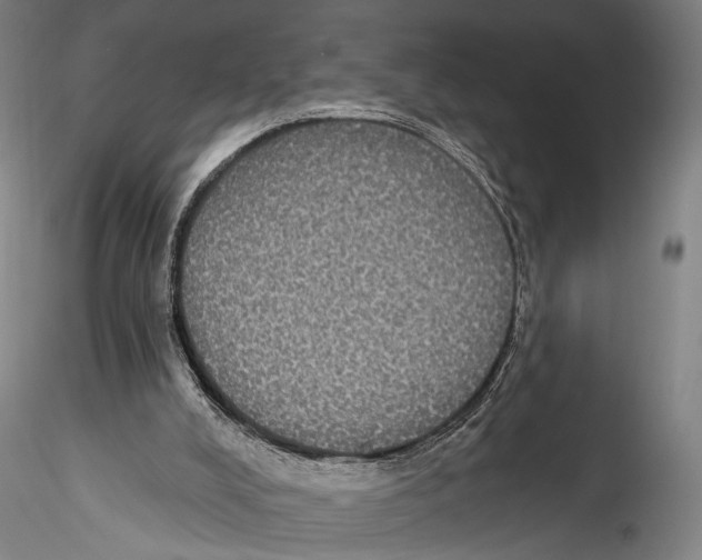 X0000115320008200911301609