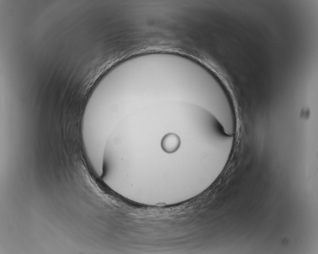 X0000115320009200911301609