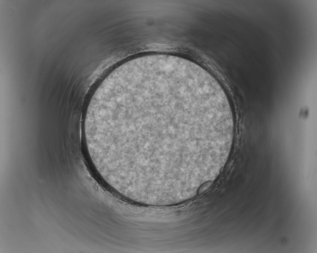 X0000115320011200911301609