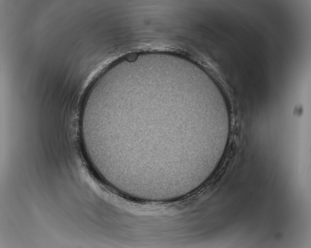 X0000115320012200911301609