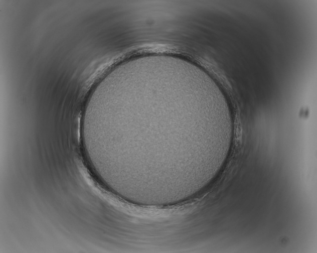 X0000115320014200911301609