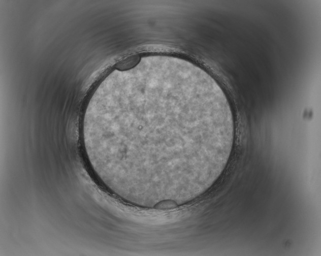 X0000115320015200911301609