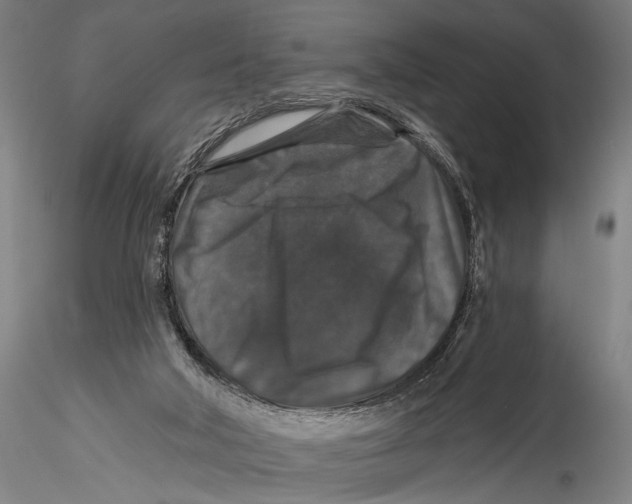 X0000115320018200911301609