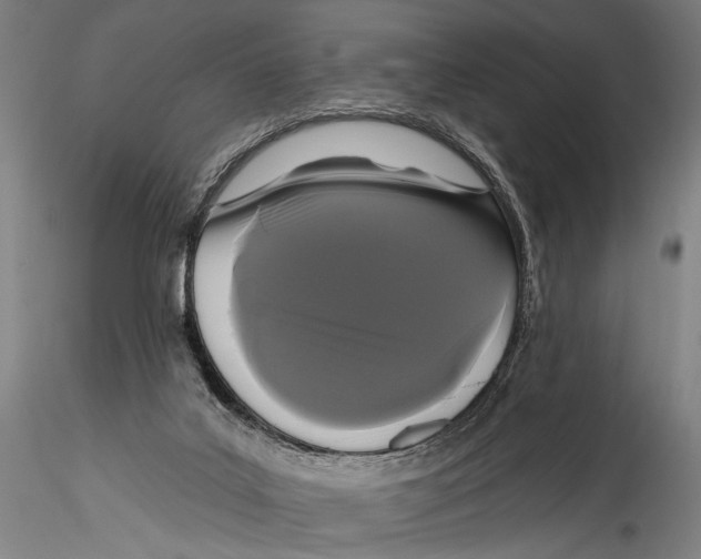 X0000115320019200911301609