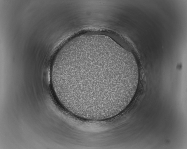 X0000115320020200911301609