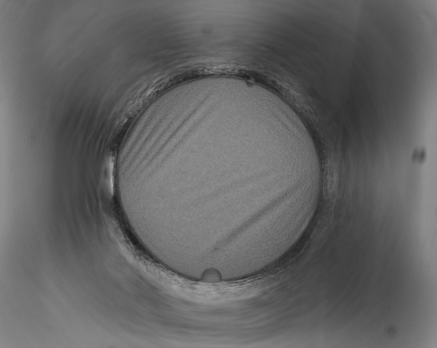 X0000115320022200911301609