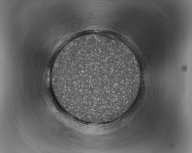 X0000115320024200911301609