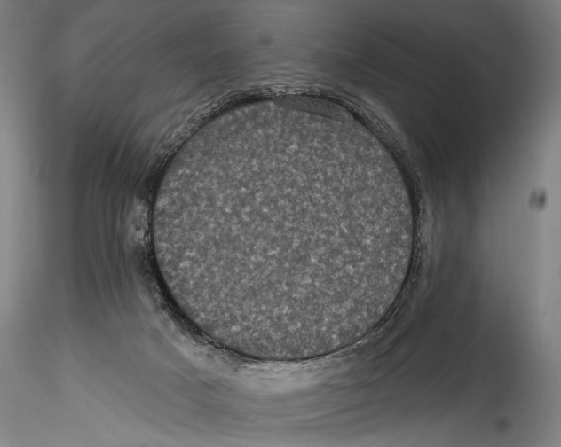 X0000115320025200911301609