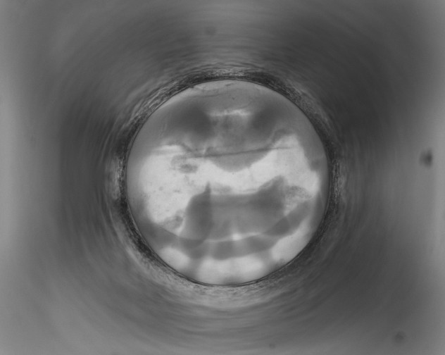 X0000115320026200911301609