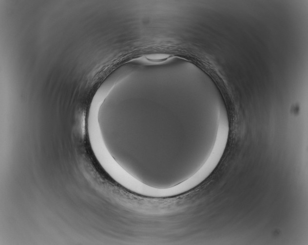 X0000115320027200911301609