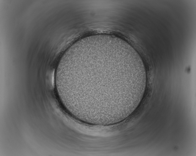 X0000115320028200911301609