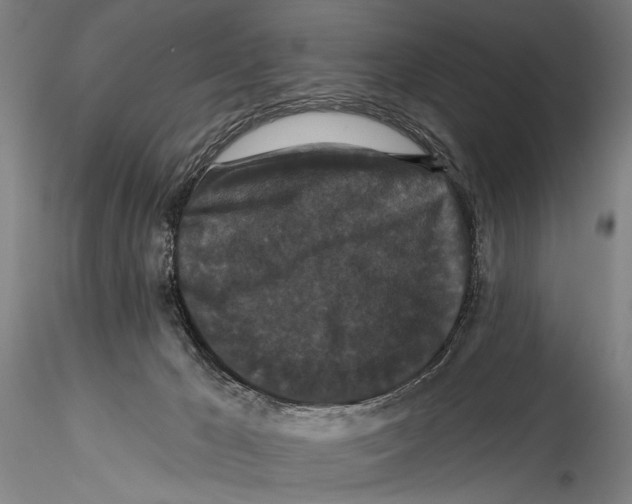 X0000115320029200911301609