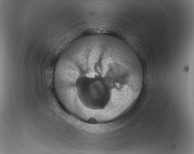 X0000115320030200911301609