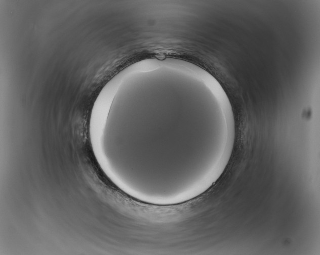 X0000115320031200911301608