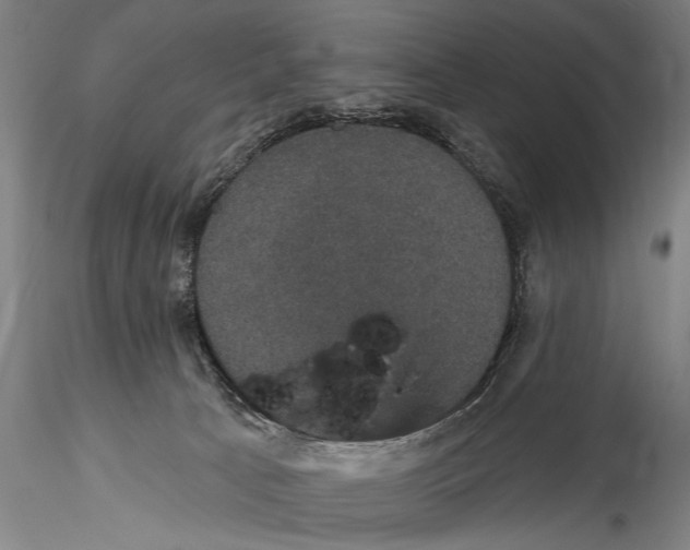 X0000115320033200911301608