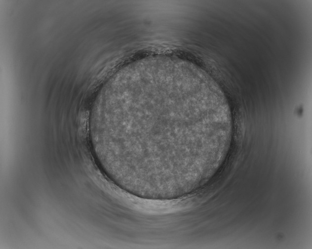 X0000115320034200911301608