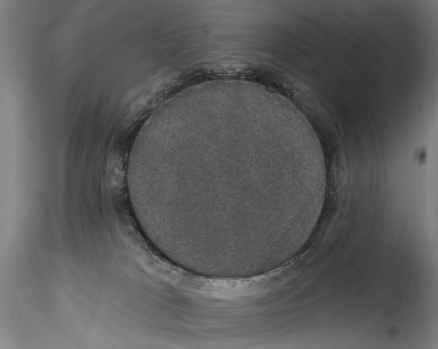 X0000115320037200911301608