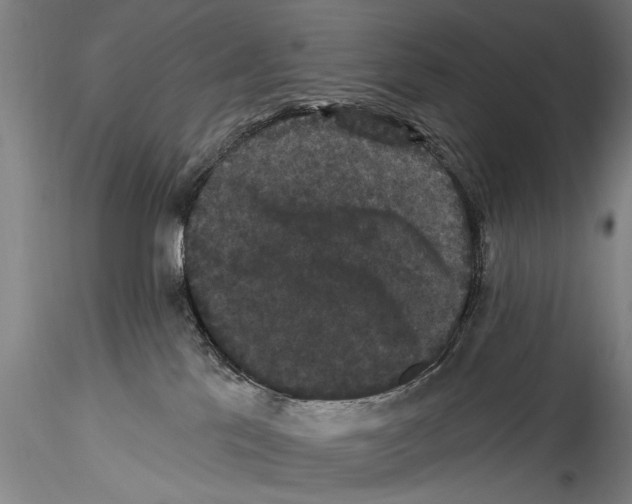 X0000115320041200911301608