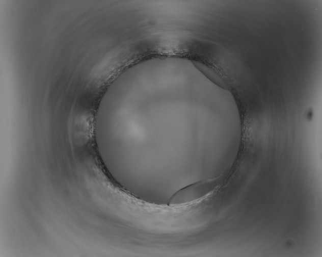 X0000115320043200911301608