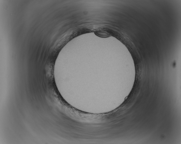 X0000115320044200911301608