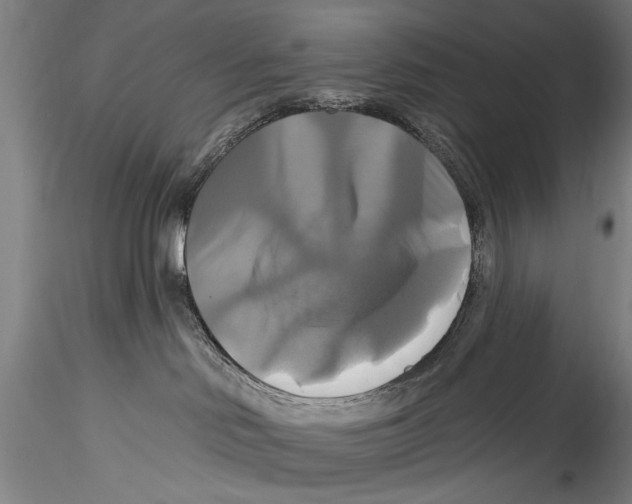 X0000115320046200911301608