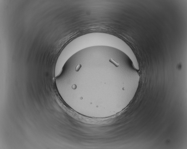 X0000115320047200911301608