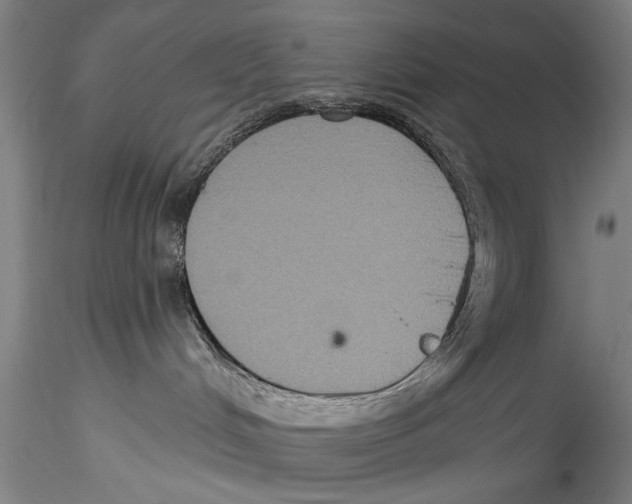 X0000115320048200911301608